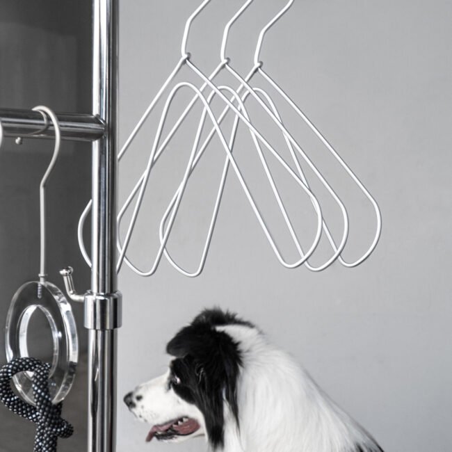 Pet props